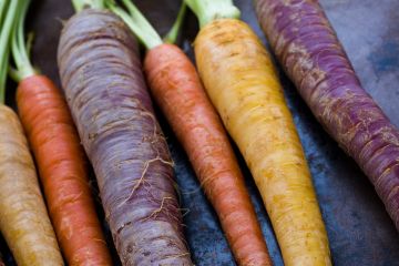 Gartenpflege Tipps zum Verbessern des Bodens: Vermiculit und Zeolith Pellets sind ein veganer natürlicher Wasserspeicher bei STEINKRAFT zu kaufen