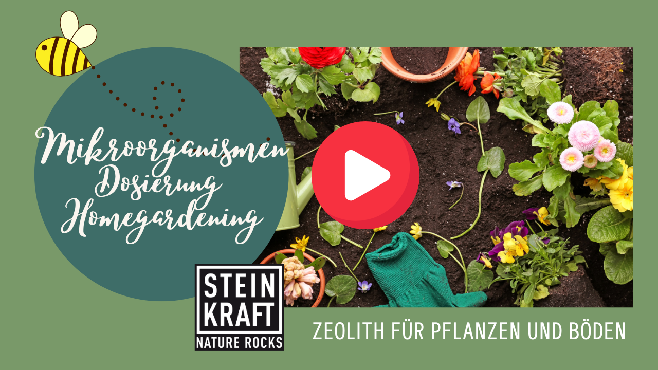 STEINKRAFT Mikroorganismen: Dosierung  im Garten Homegardening VIDEO
