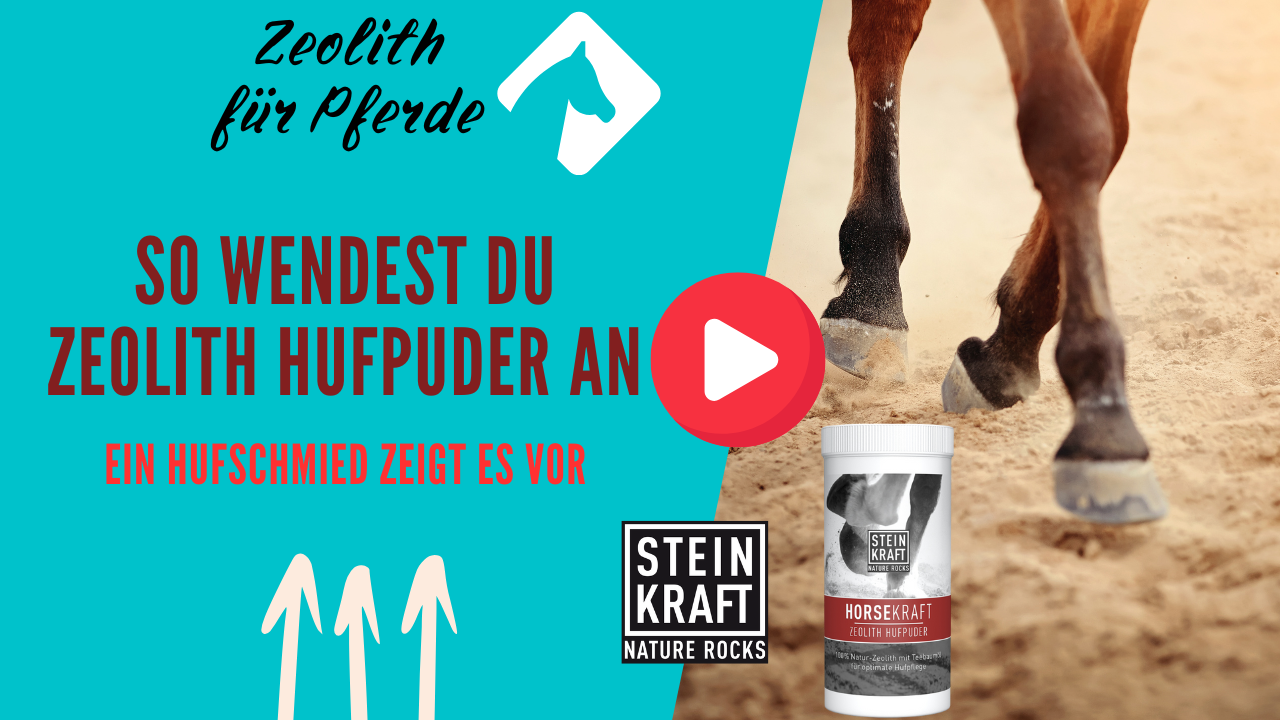 STEINKRAFT Zeolith für Pferde:
So wendest du Hufpuder an - Ein Hufschmied zeigt es vor. VIDEO