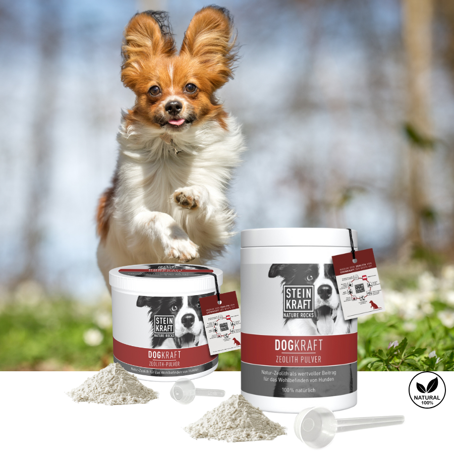 Steinkraft Zeolith für Hunde