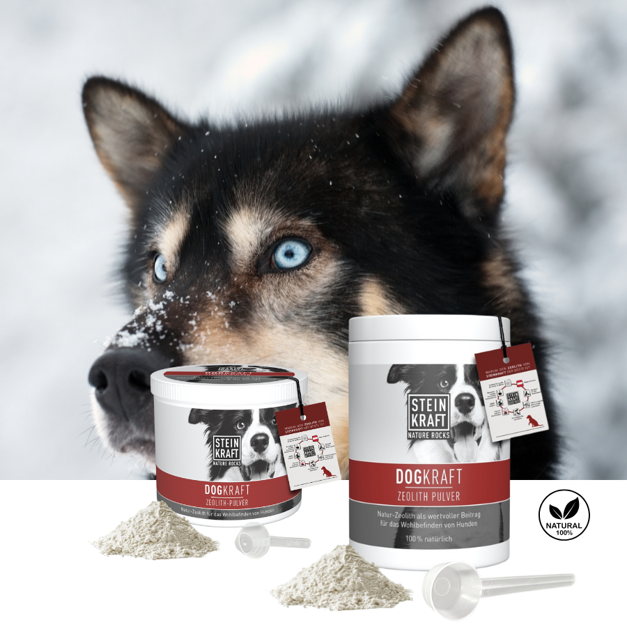 Steinkraft Zeolith für Hunde in 2 Größen 450g und 250g mit Messlöffel kaufen