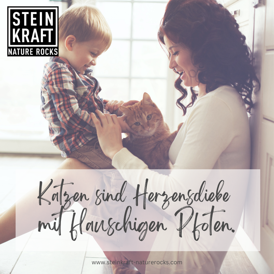 STEINKRAFT Zeolith für Katzen - Katzen sind Herzensdiebe mit flauschigen Pfoten. Frau und Bub streicheln eine wunderschöne Katze.