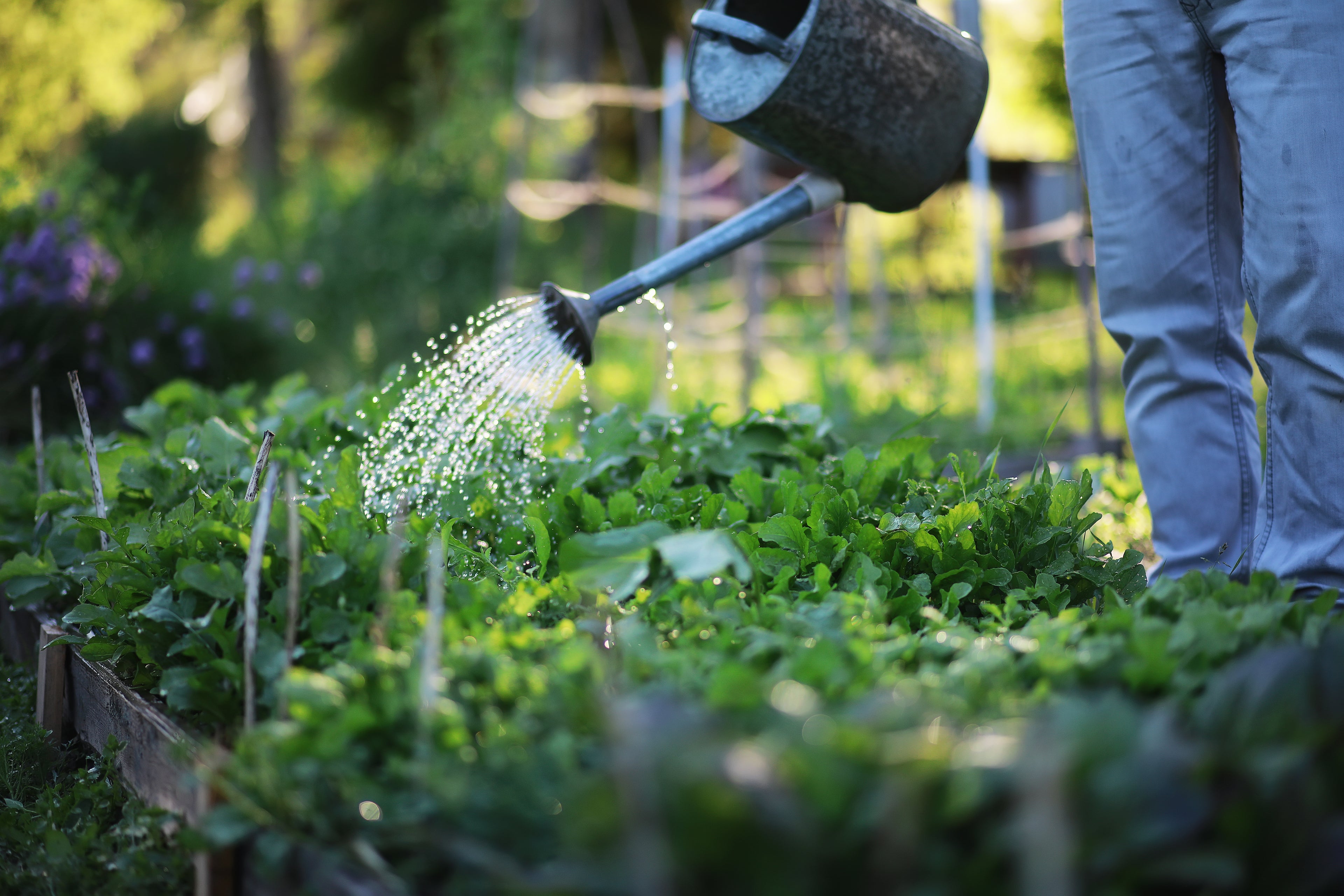 BIO Mikroorganismen aus Österreich aktiv