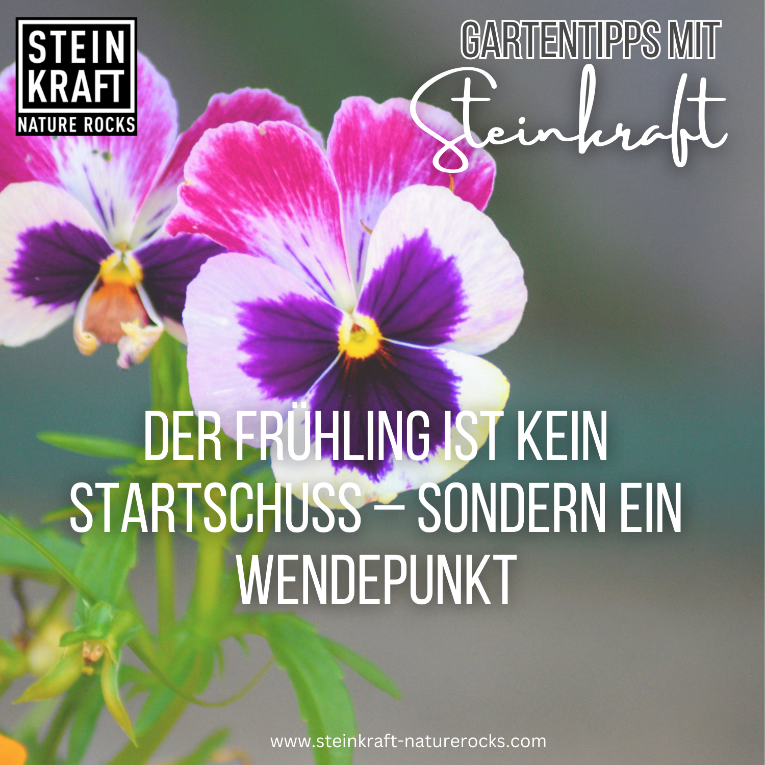 PURE SOIL POWER activated zeolite 5kg - powder