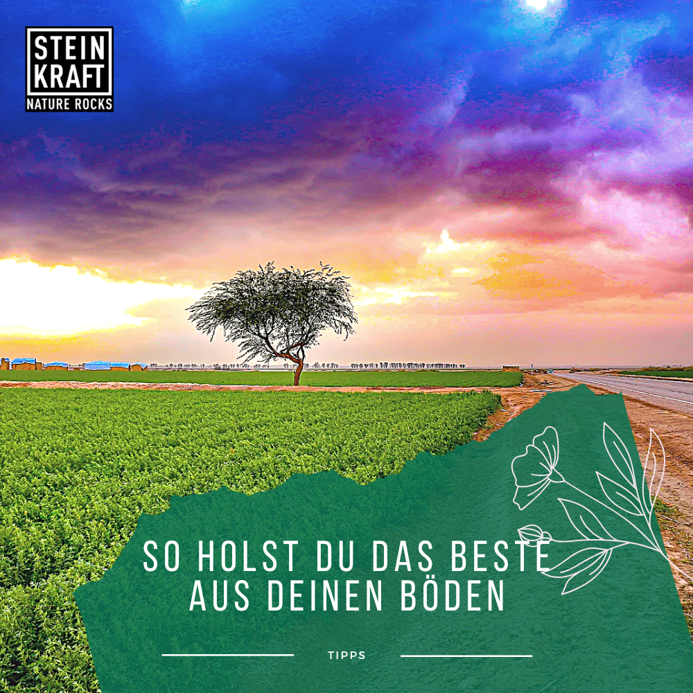 Mikroorganismen AM+PLUS Urlösung für Landwirtschaft