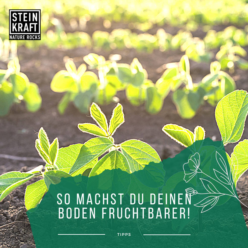 STEINKRAFT Basalt Urgesteinsmehl mit hohen paramagnetischen Fähigkeiten zur Bodenverbesserung