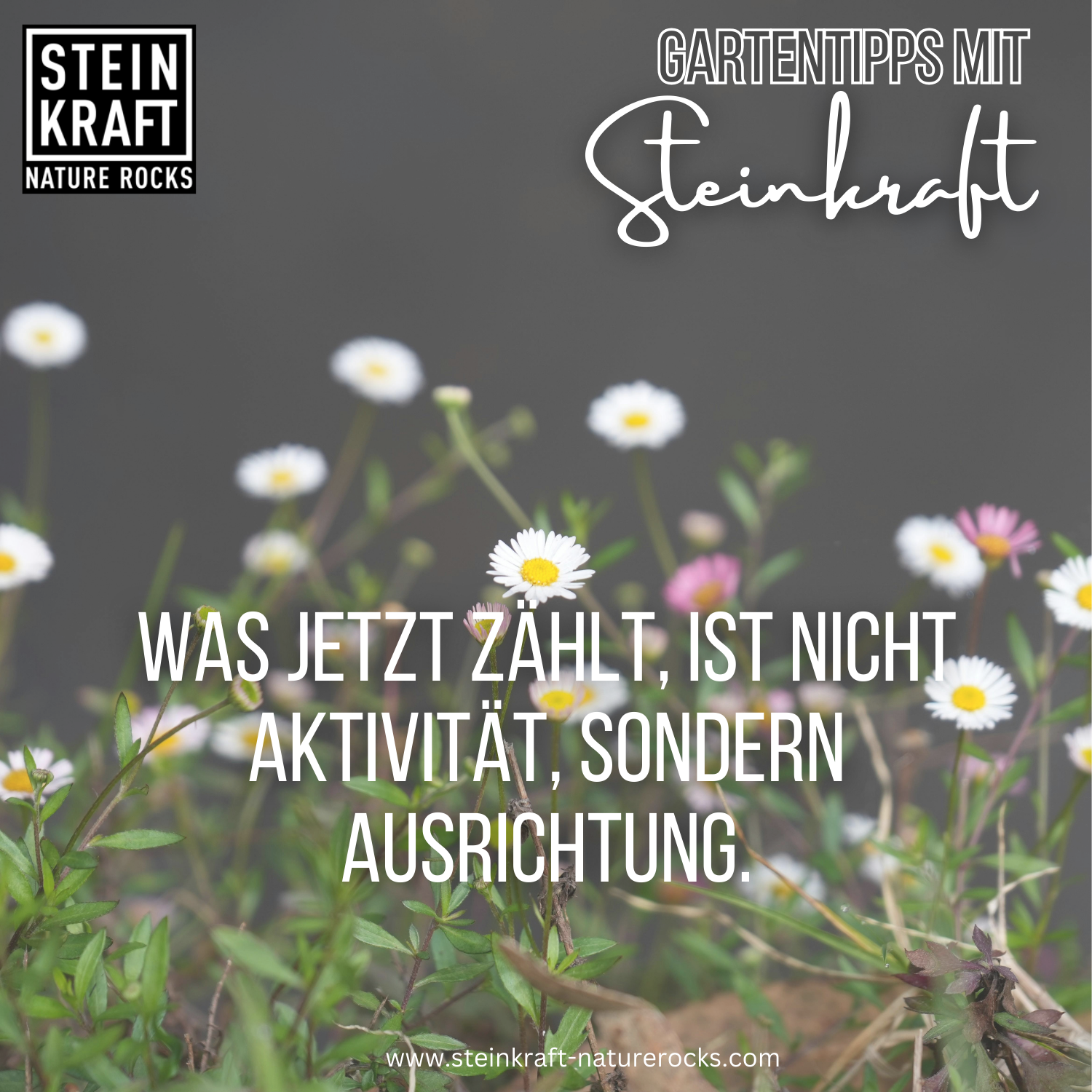 Mikroorganismen AM+PLUS Urlösung für Garten und Pflanzen