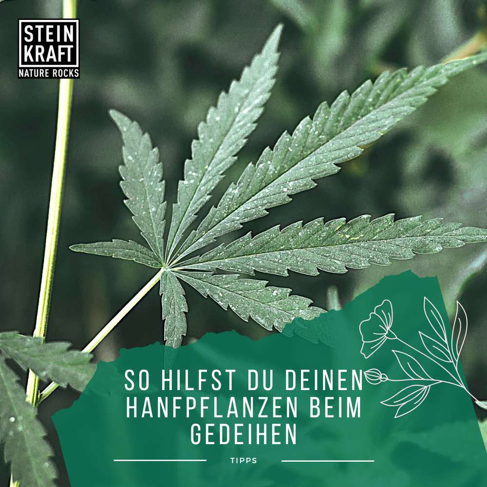 HANFKRAFT Blatt Dünger mit Zeolith