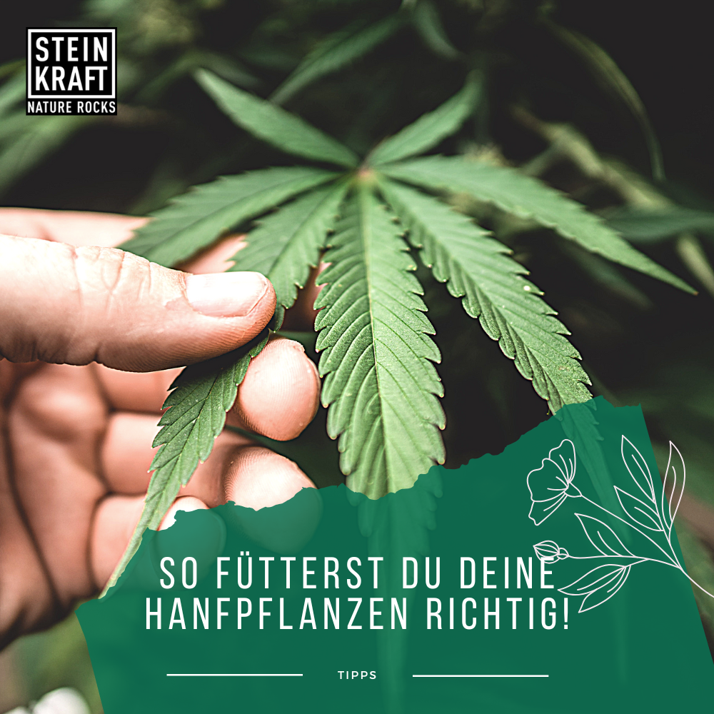HANFKRAFT Blatt Dünger mit Zeolith