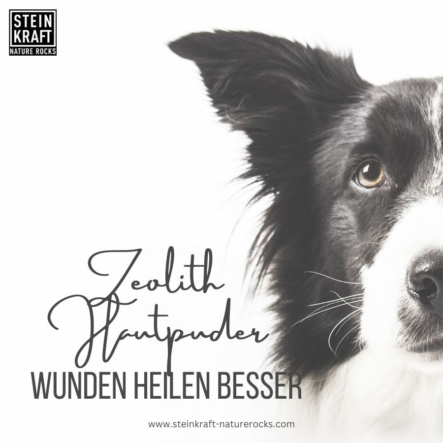 STEINKRAFT Zeolith Hautpuder für Hunde - Wunden heilen besser