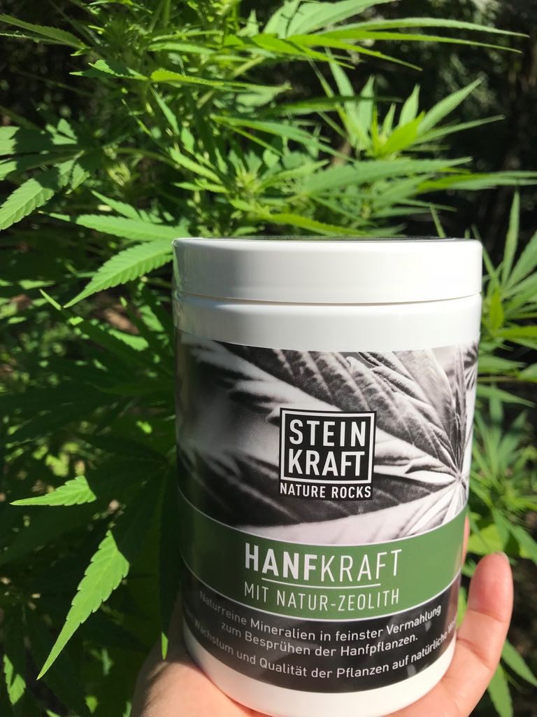 Calcit und Zeolith Blattdünger für Cannabis Hanf - Hanfkraft von STEINKRAFT in der Hand gehalten vor gesunder Cannabis-Pflanze
