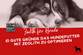 STEINKRAFT Zeolith für Hunde: 10 gute Gründe das Hundefutter mit Zeolith zu optimieren - Fachartikel mit vielen Q&As.