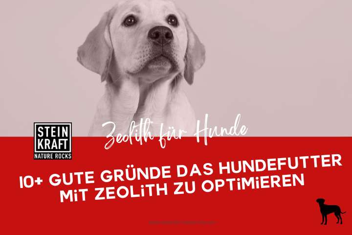 STEINKRAFT Zeolith für Hunde Blog: 10 gute Gründe das Hundefutter mit Zeolith zu optimieren - Durchfall und Juckreiz