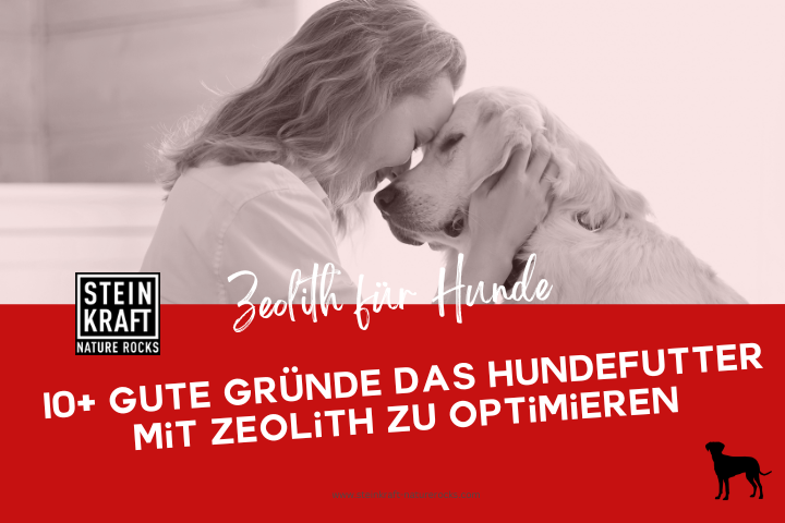 STEINKRAFT Zeolith für Hunde Blog: 10 gute Gründe das Hundefutter mit Zeolith zu optimieren - Durchfall und Juckreiz