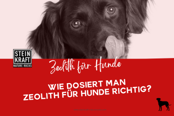 STEINKRAFT Zeolith für Hunde: Dosierungsanleitung - wie dosiert man Zeolith für Hunde richtig? Ein Leitfaden für die Praxis