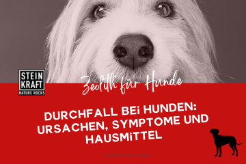 STEINKRAFT Zeolith für Hunde - Durchfall bei Hunden: Ursachen, Symptome und Hausmittel