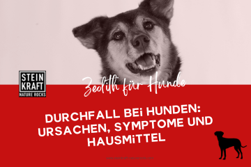 STEINKRAFT Zeolith für Hunde - Durchfall bei Hunden: Ursachen, Symptome und Hausmittel - ein Fachartikel mit vielen persönlichen Beispielen