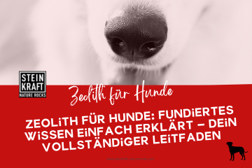 STEINKRAFT Zeolith für Hunde: Fundiertes Wissen wie Zeolith wirkt einfach erklärt - Fachartikel mit vielen Studien