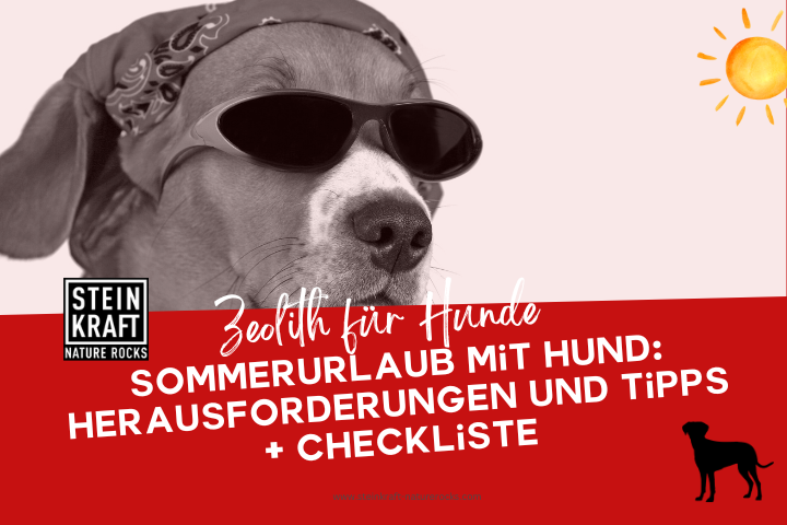 Zeolith für Hunde Blog: Sommerurlaub mit Hund: Herausforderungen und Tipps + Checkliste