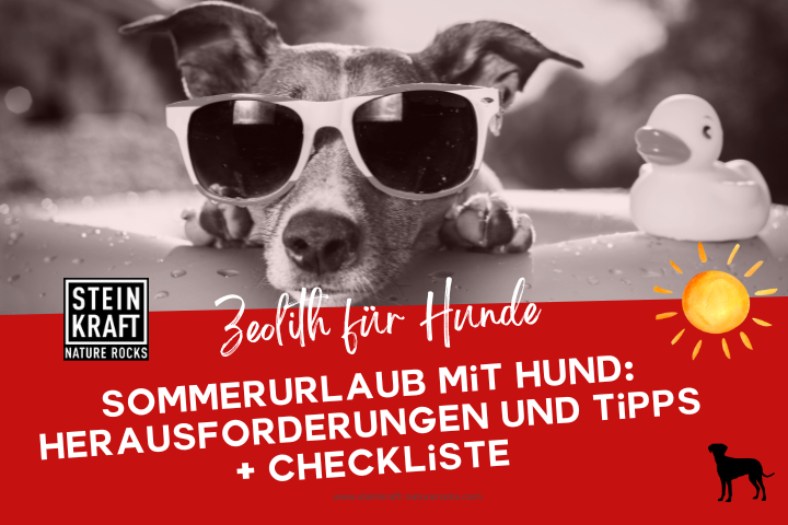 Zeolith für Hunde Blog: Sommerurlaub mit Hund: Heruasforderungen und Tipps inclusive Checkliste
