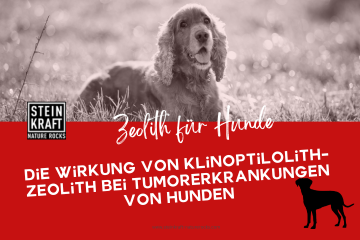 STEINKRAFT Zeolith für Hunde: Die Wirkung von Klinoptilolith-Zeolith bei Tumorerkrankungen von Hunden - Fachbeitrag