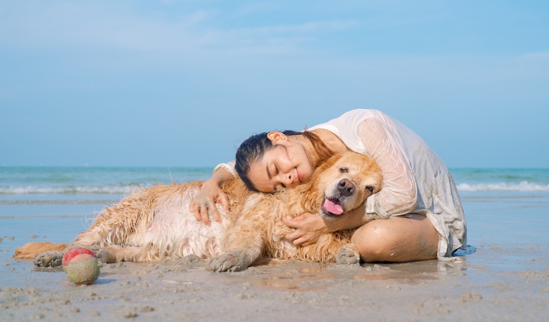 Zeolith für Hunde bei Durchfall un dJuckreiz - Mädchen mit ihrer Fellnase am Strand ausruhend nach Ballspiel