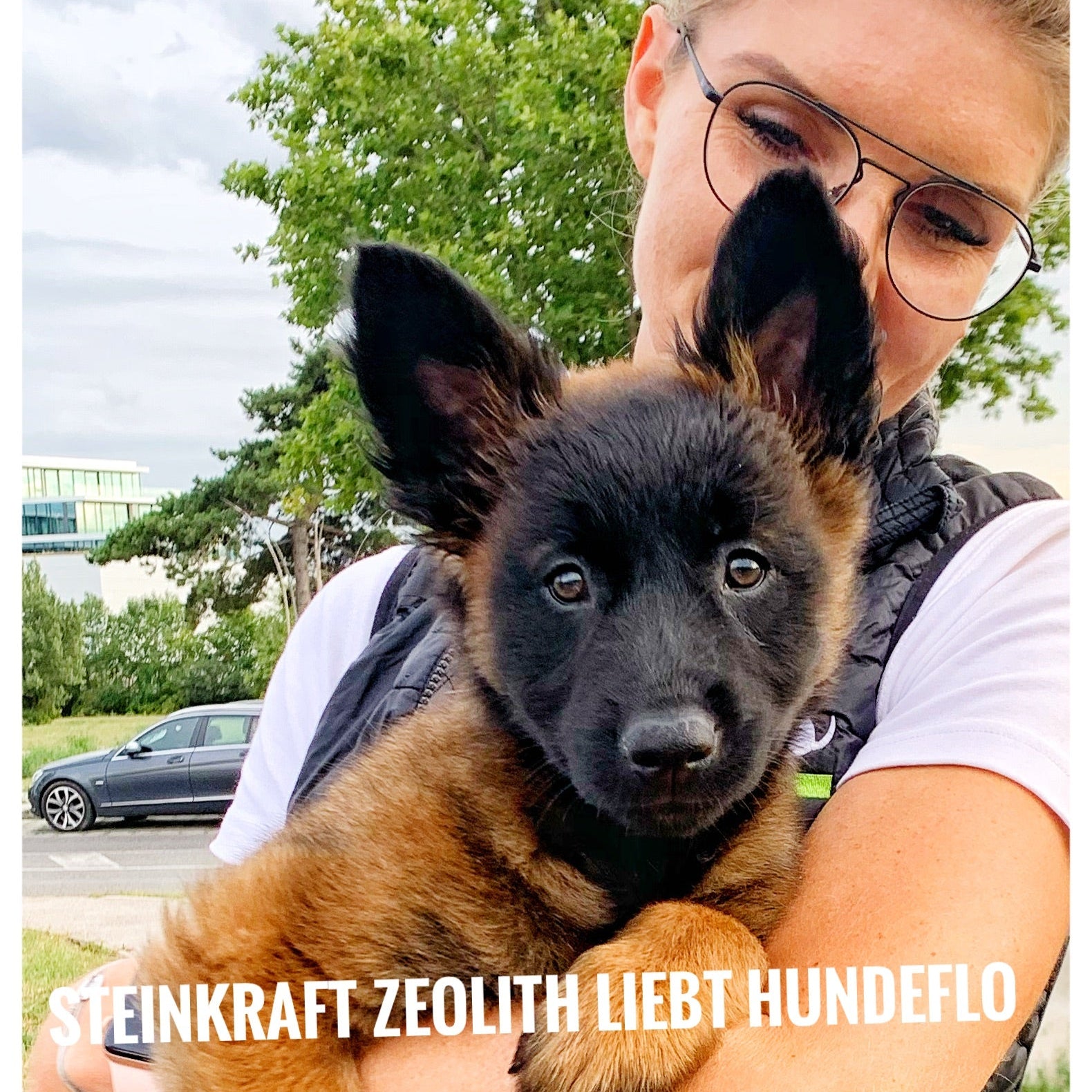 Zeolith für Hunde Welpen