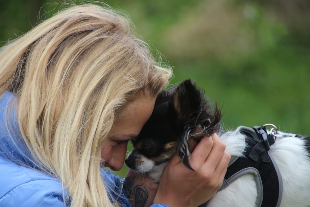 STEINKRAF Zeolith für kleine Hunde hilft bei Durchfall und Juckreiz