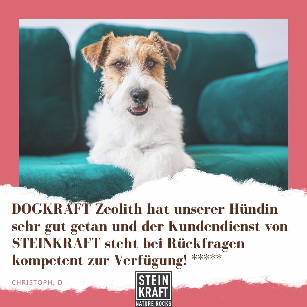 Zeolith für Hunde - Unterstützung für Gelenke