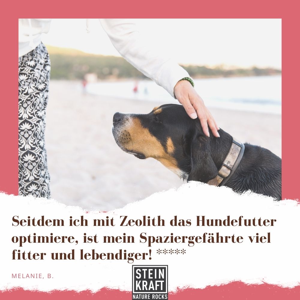 "Seitdem ich mit Zeolith das Hundefutter optimiere, ist mein Spaziergefährte viel fitter und lebendiger." Sagt Melanie und gibt STEINKRAFT Zeolith für Hunde 5 Sterne.