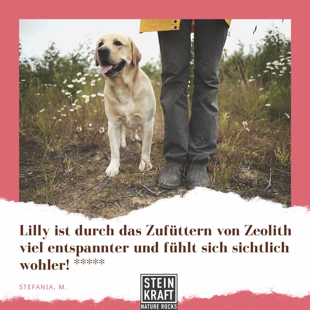 STEINKRAFT Zeolith für Hunde - "Lilly ist durch das Zufüttern von Zeolith viel entspannter und fühlt sich sichtlich wohler", sagt Stefania und vergibt 5 Sterne.