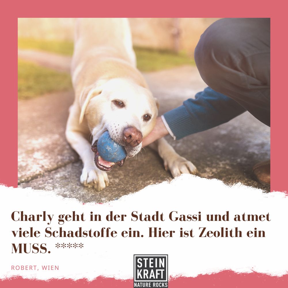 STEINKRAFT Zeolith für Hunde. "Charly geht in der Stadt Gassi und atmet viele Schadstoffe ein. Hier ist Zeolith ein MUSS", sagt Robert aus Wien und vergibt 5 Sterne.