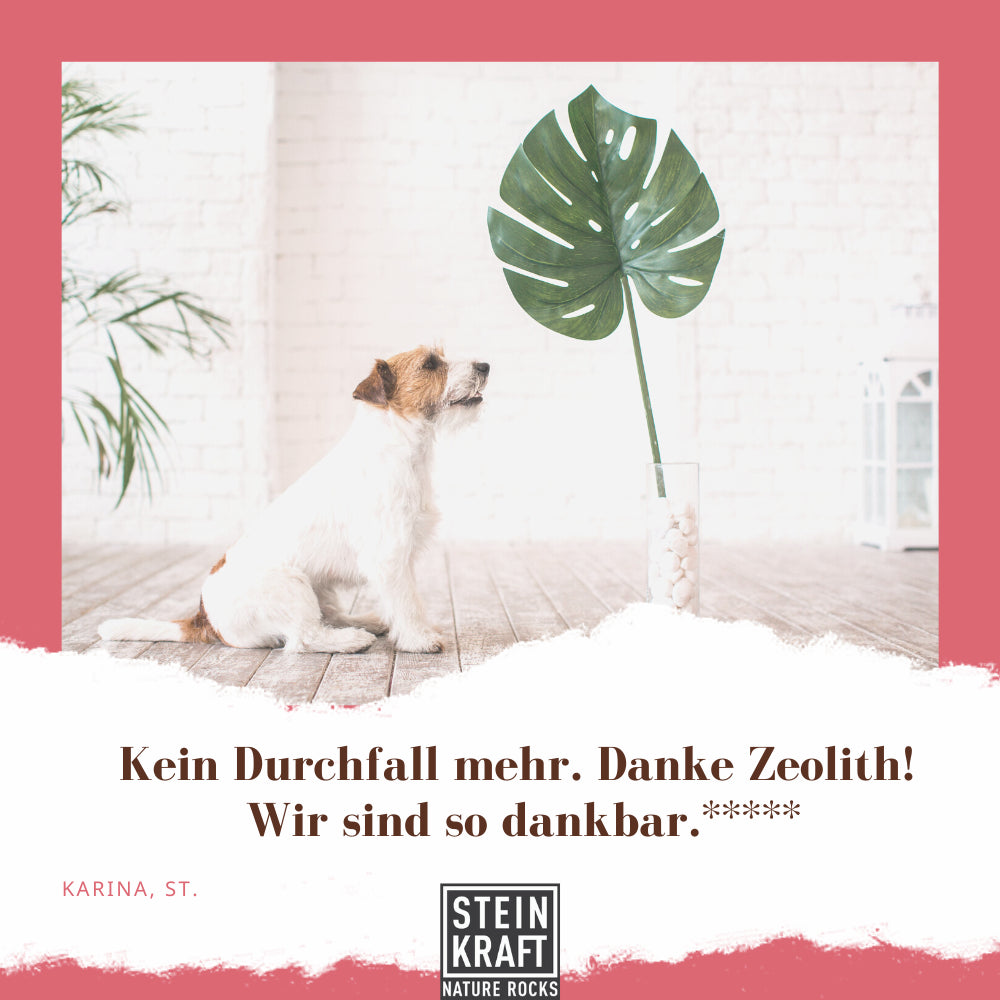 STEINKRAFT Zeolith für Hunde sehr wirkungsvoll bei Durchfall. 
Karina St. sagt: "Kein Durchfall mehr. Danke Zeolith! Wir sind so dankbar." Und gibt 5 Sterne.