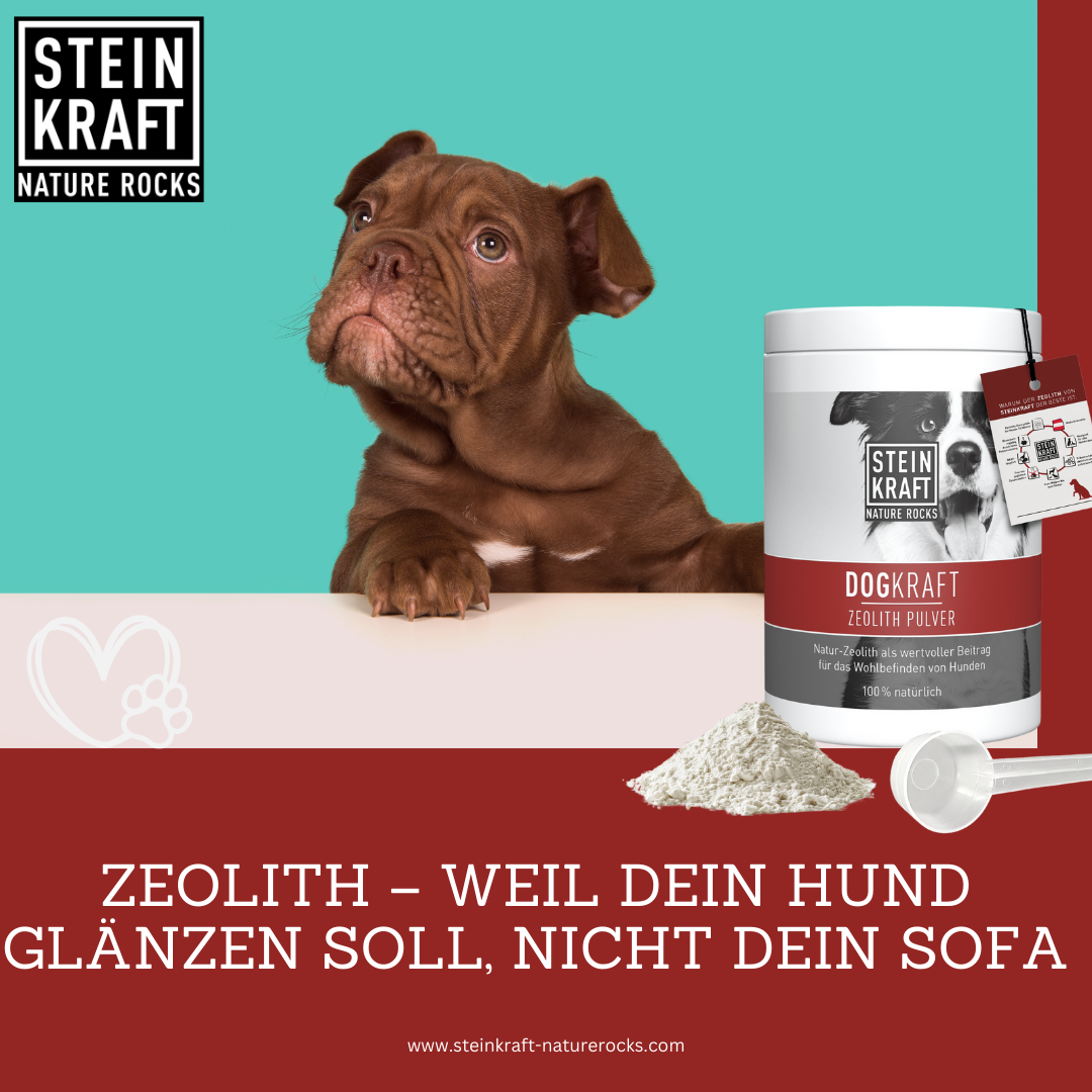 DOGKRAFT ZEOLITH für Hunde
