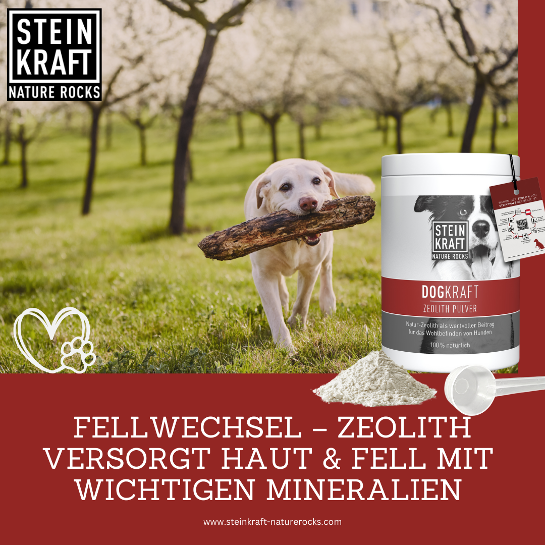 DOGKRAFT ZEOLITE for dogs