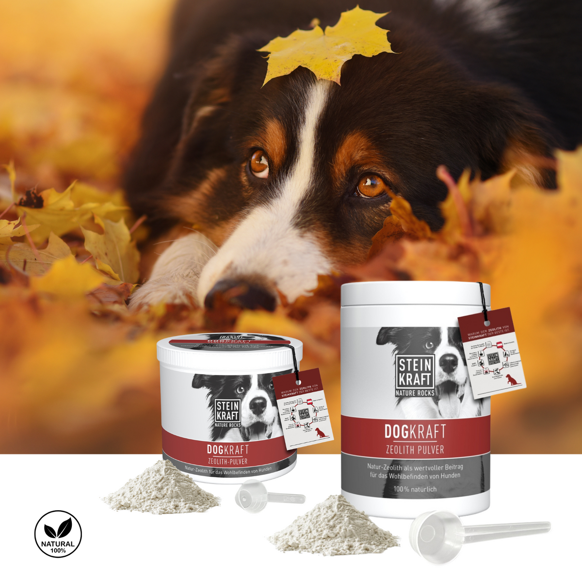 ZEOLITH Pulver für Hunde - DOGKRAFT von Steinkraft