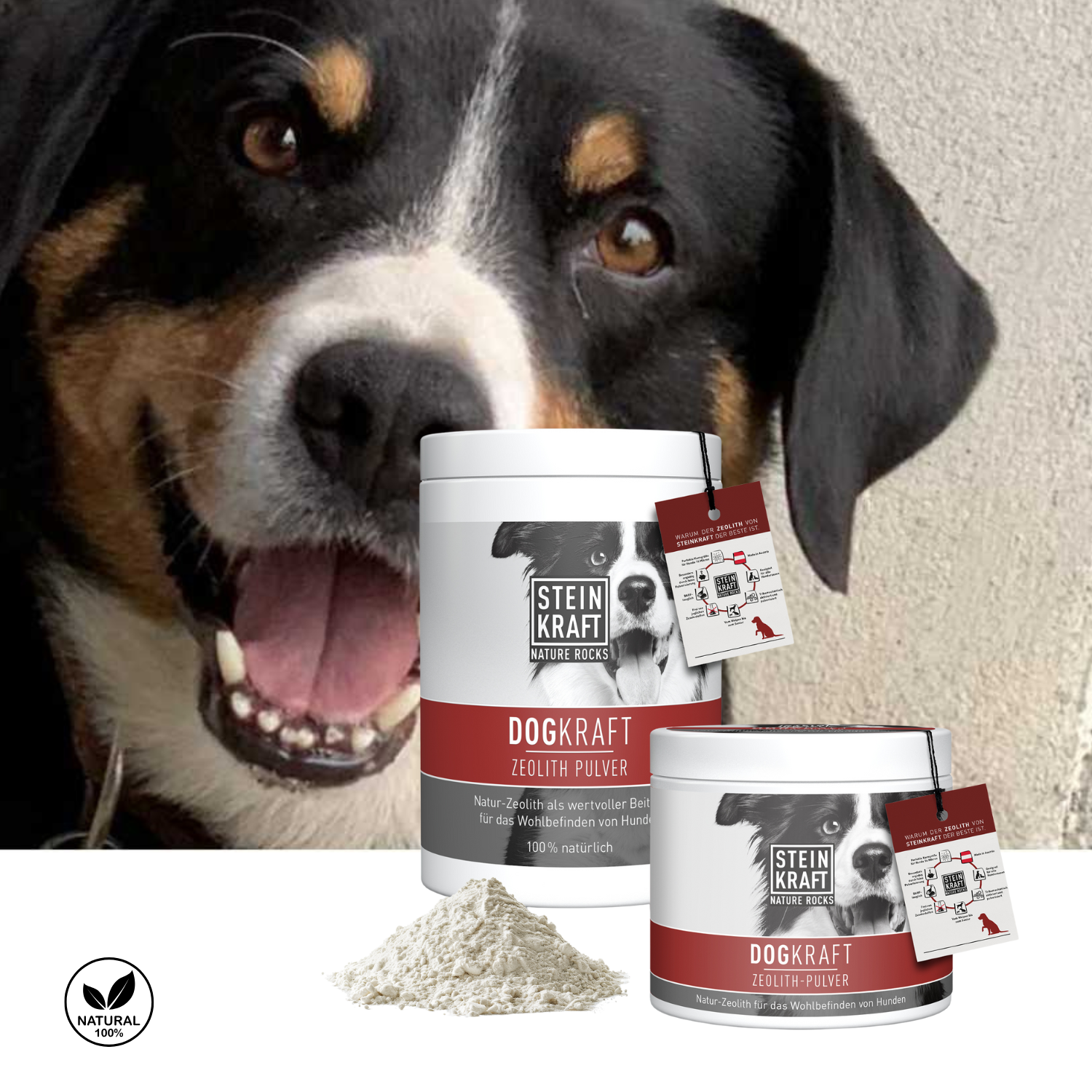 STEINKRAFT Zeolith für Hunde in zwei Größen als gute Unterstützung im Herbst