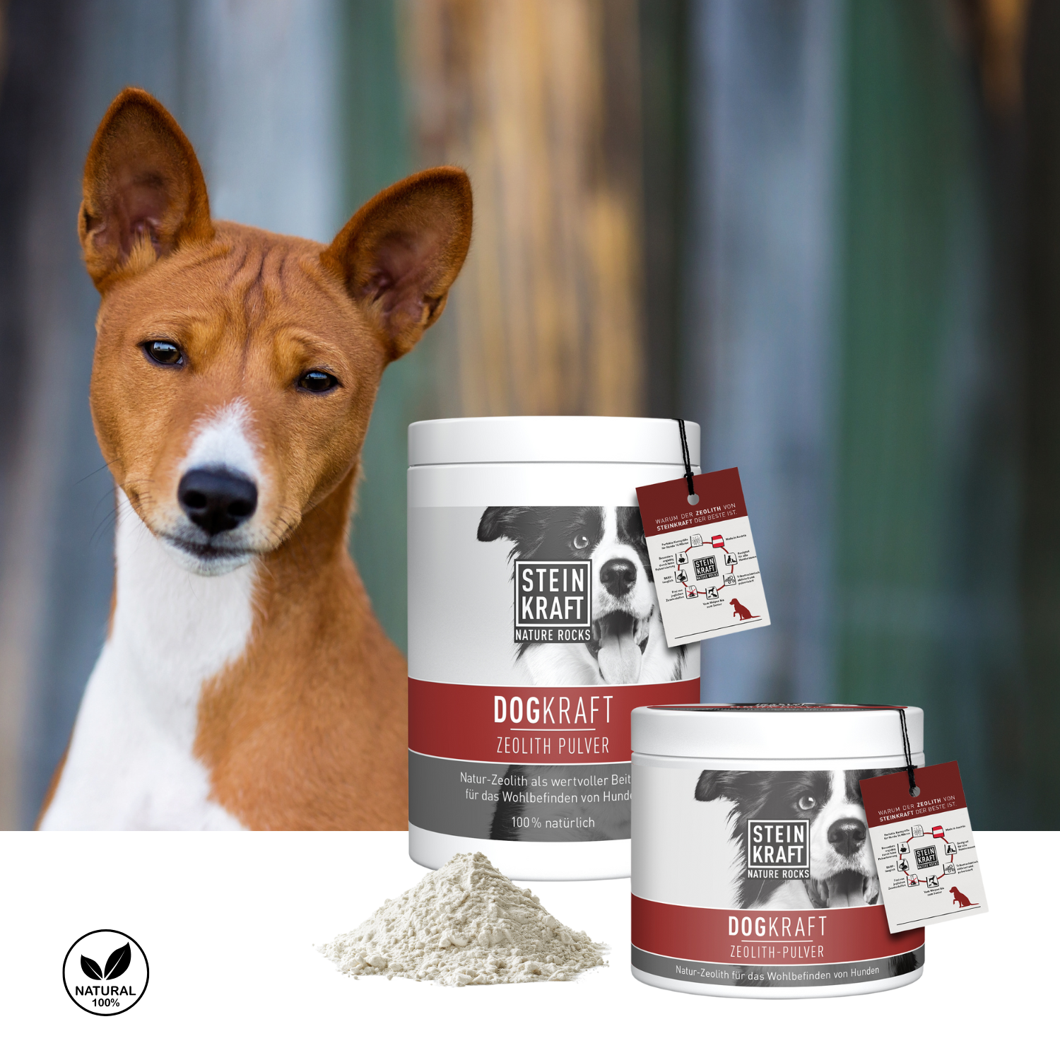 STEINKRAFT Zeolith für Hunde in zwei Größen als gute Unterstützung im Herbst