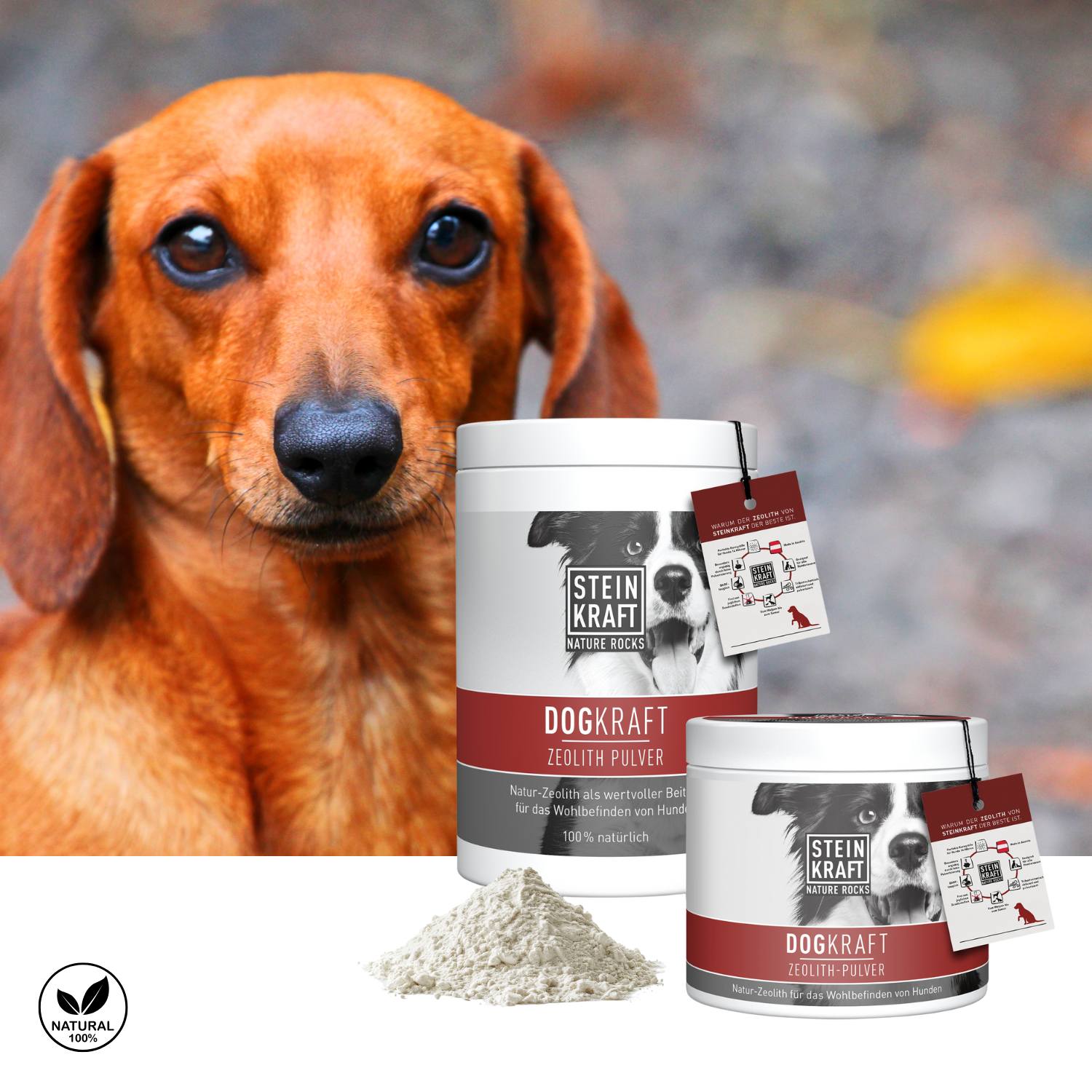 STEINKRAFT Zeolith für Hunde in zwei Größen als gute Unterstützung im Herbst