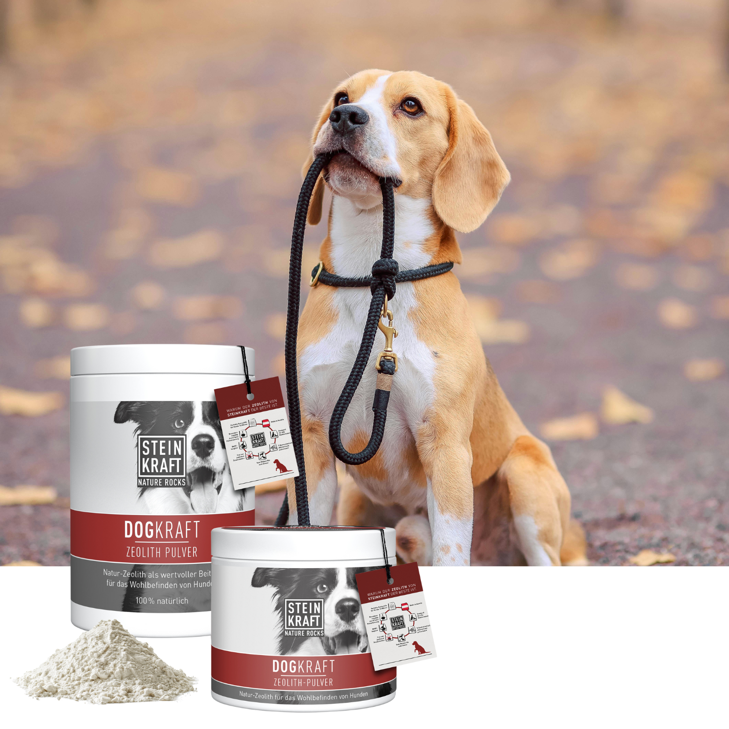 STEINKRAFT Zeolith für Hunde in zwei Größen als gute Unterstützung im Herbst