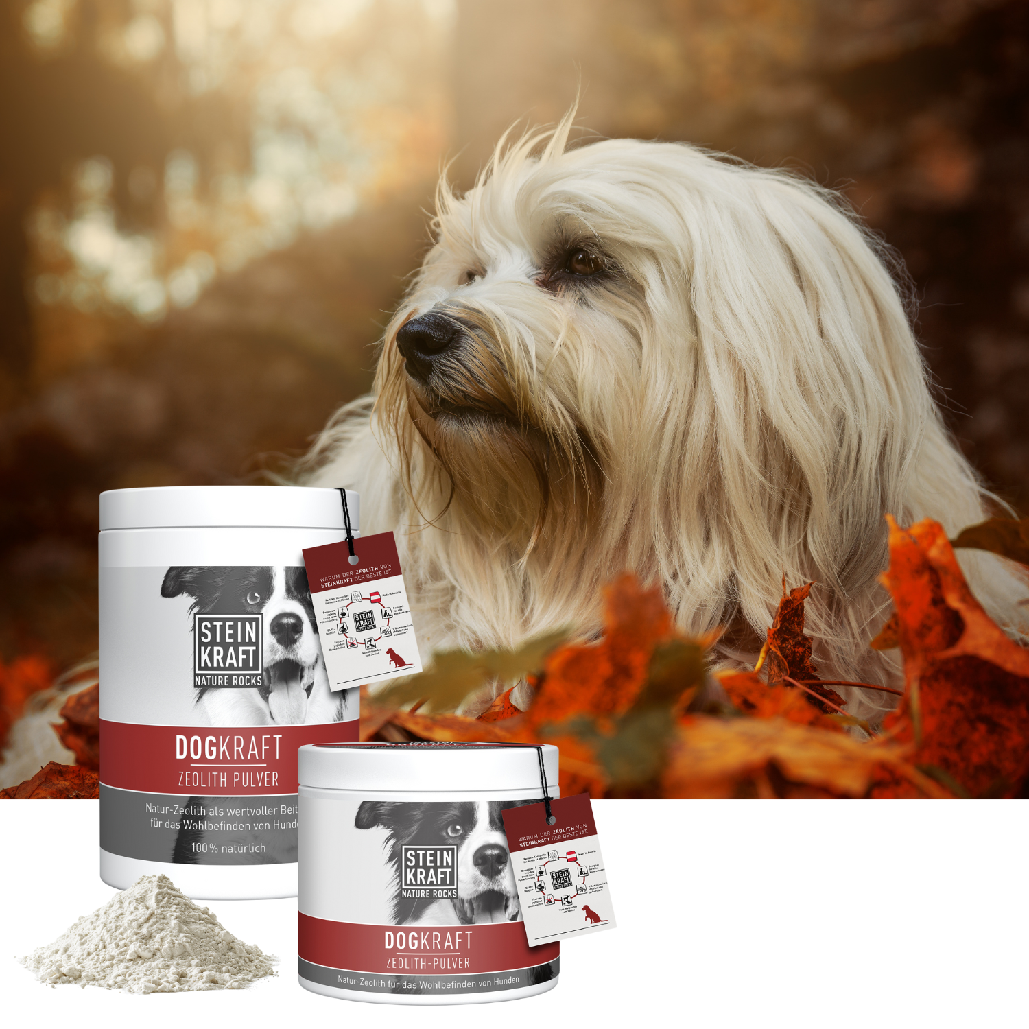 STEINKRAFT Zeolith für Hunde in zwei Größen als gute Unterstützung im Herbst