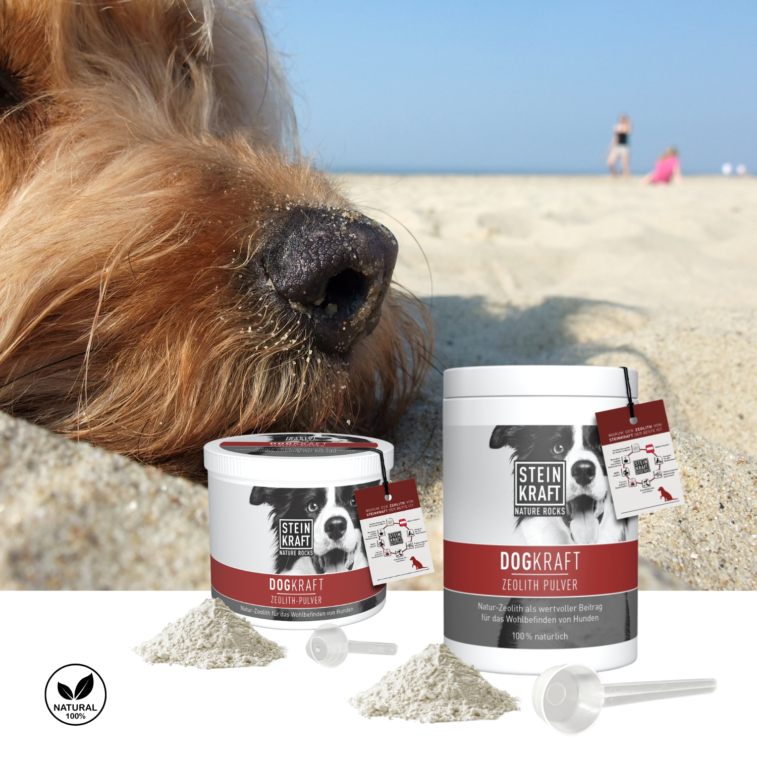 STEINKRAFT Zeolith für Hunde gut im Sommer bei Durchfall. Hundeschnauze chillt am Strand und im Vordergrund die zwei Größen von Zeolith für Hunde mit Dosierlöffel.