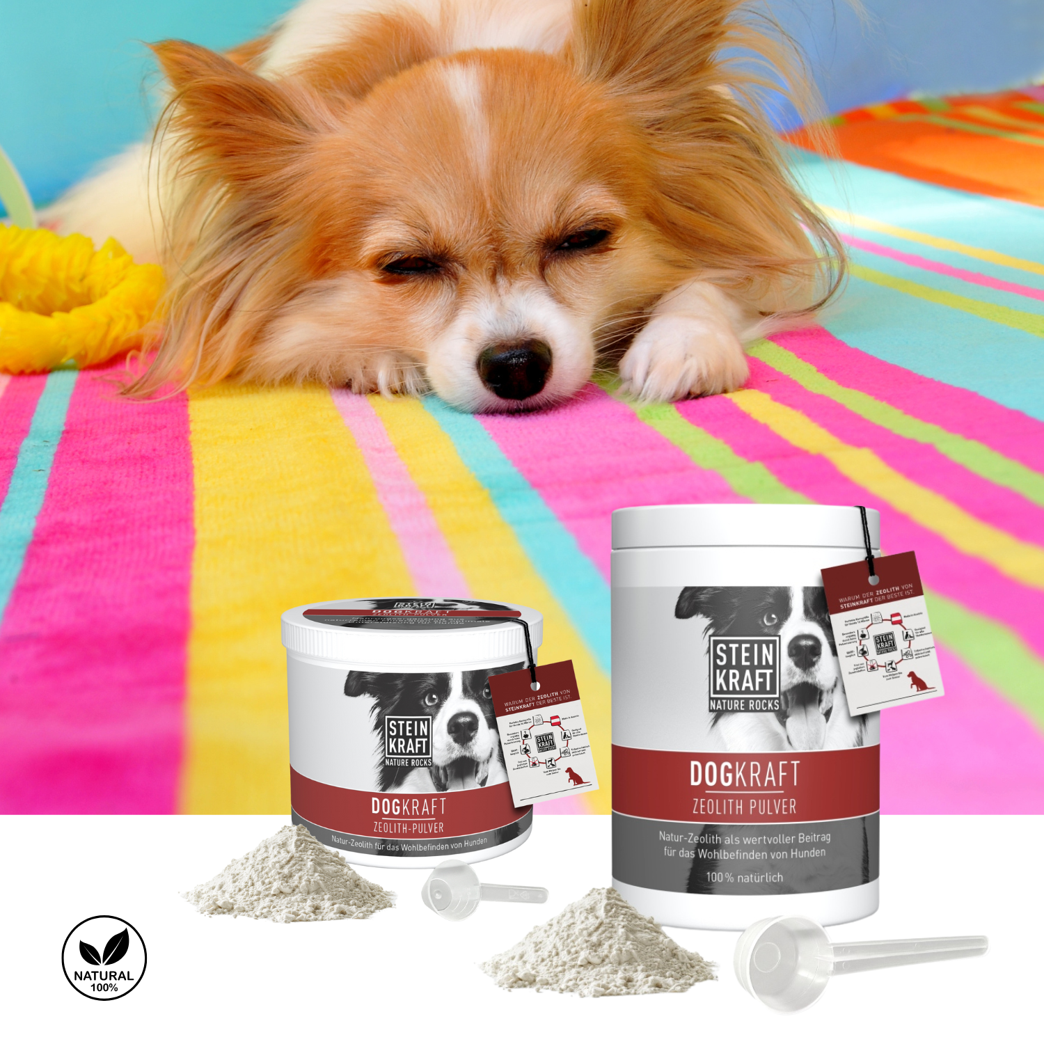 STEINKRAFT Zeolith für Hunde bei Durchfall ideal im Sommer. Chihuahua auf bunter Liegedecke und im Vordergrund DOGKRAFT in zwei Größen.