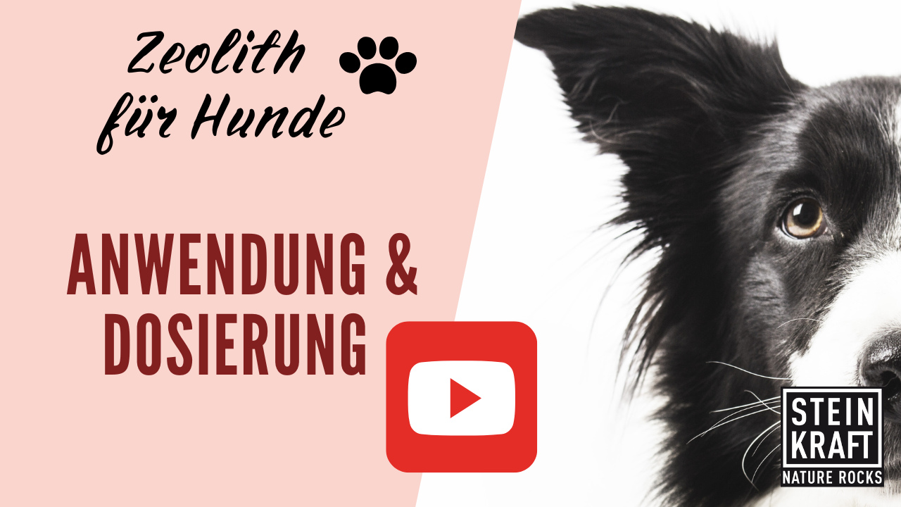 STEINKRAFT Zeolith für Hunde - Anwendung und Dosierung - ein VIDEO