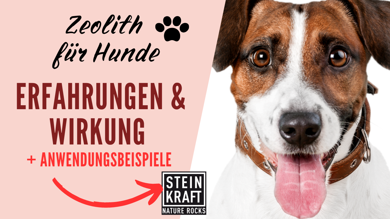 STEINKRAFT Zeolith für Hunde - Erfahrungen und Wirkung und viele Anwendungsbeispiele und Kundenaussagen - verlinkt mit einer umfassenden Erfahrungsseite