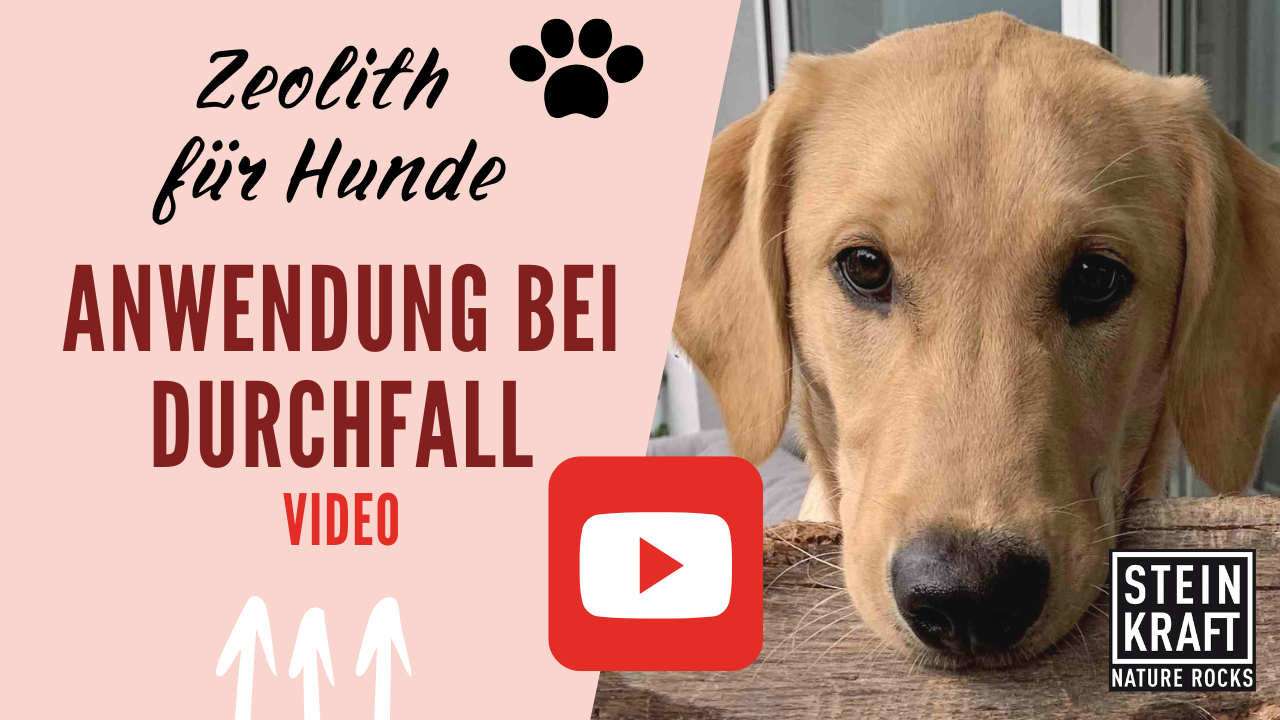 STEINKRAFT Zeolith für Hunde: Anwendung bei Durchfall - VIDEO