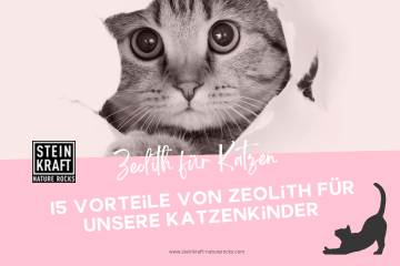 STEINKRAFT Zeolith für Katzen - 15 Vorteile von Zeolith für unsere Katzenkinder - Link zu einem Blogartikel