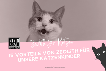 STEINKRAFT Zeolith für Katzen - 15 Vorteile von Zeolith für unsere Katzenkinder - Link zu einem Blogartikel