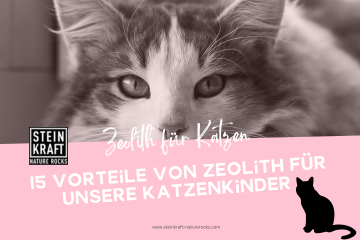 STEINKRAFT Zeolith für Katzen - 15 Vorteile von Zeolith für unsere Katzenkinder - Link zu einem Blogartikel