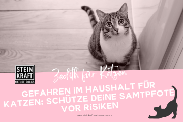 Steinkraft Zeolith für Katzen - Gefahren im Haushalt für Katzen: Schütze deine Samtpfote vor Risiken - ein Blogartikel